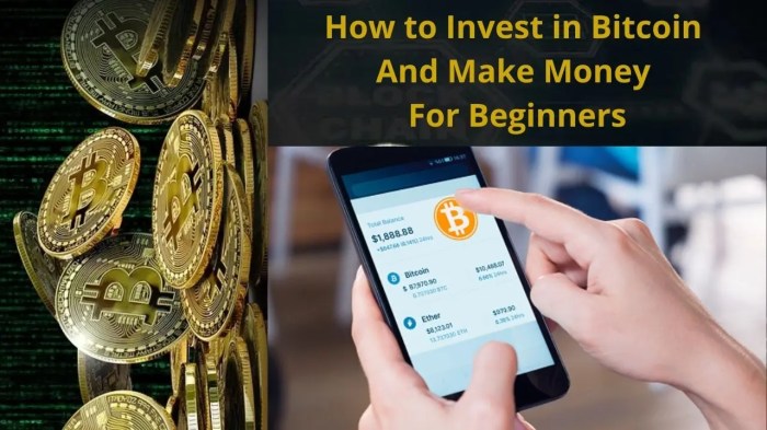 Invest bitcoin beginner